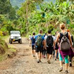 Group tour Packages with Travel Agency - Nature and Wildlife